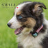 American Flag Dog Collar Classic in 5 Different Sizes (Small)