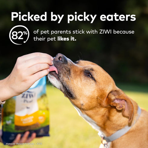 (3.5oz) ZIWI Peak Air-Dried Dog Food Beef - All Natural, High Protein, Grain Free, Limited Ingredient w/Superfoods