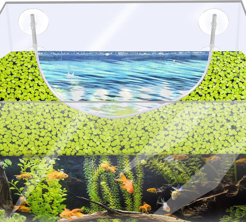 Aquarium Floating Plant Corral, Clear Plastic Fence for Separating Floating Plants in Fish Tank