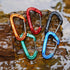 FresKaro 5pcs Nano Carabiner Clips, 8kN 1798lbs, Small Sturdy Reliable Time-Tested Strong Spring Wiregate, Mini Size