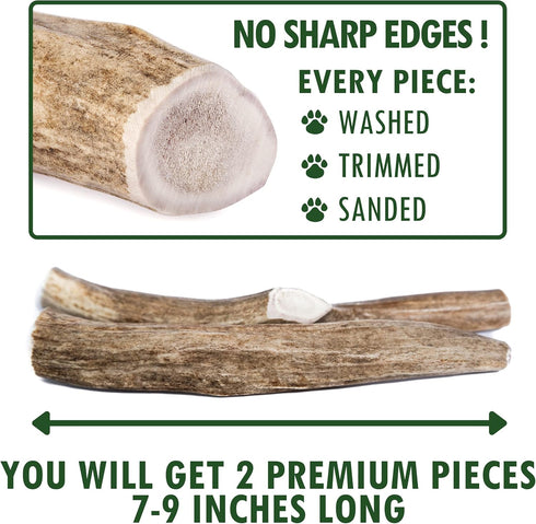 Wildeers Large Deer Antlers for Dogs - Premium Chew Treats, Made in USA, Naturally Shed, Grade A, 7-9 in, 2 Pieces