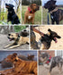 Large Dog Collar, Black Heavy Duty for Giant Breed Dogs, 2 inch Wide with Handle, Strong Nylon and Stainless Hardware