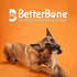 All-Natural Nylon-Free Dog Chew Toys - Hard Density for Strong to Aggressive Chewers, Non-Toxic, Promotes Dental Health