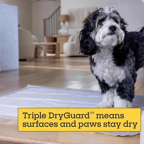 3XL 26 Count, 36" 36", Pet Life Unlimited Heavy Duty Puppy Pads for Dogs, Potty Training Pee Pads, x Leak-Proof, Super