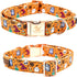 Elegant Little Tail Dog Collar, Fall Pumpkin Holiday Pet Collar, Adjustable Halloween Bow Collar for Large Dogs