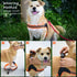 Dog Harness No Pull - Ultra Soft Breathable Padded Pet Harness with 2 Adjustable Bottoms, 3M Reflective for Small