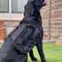Large Dog Backpack - Outdoor Hound Saddle Bag with Side Pockets for Small Medium Large Dogs, Black M