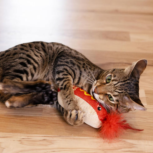 Catstages Hotdog Kicker Toy with Catnip and Dental Mesh, Hot Dog Shape, Plush and Feather Cat Toy for Kicking, Tossing