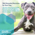 Life Extension Dog Mix - Daily Nutrition Care Supplement Powder for Canine Pets - Advanced Formula, 100 g, 60 Servings