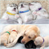 Puppy Collars - 16 Pack Adjustable Soft Nylon ID Collars for Newborn Litter Puppy Pets