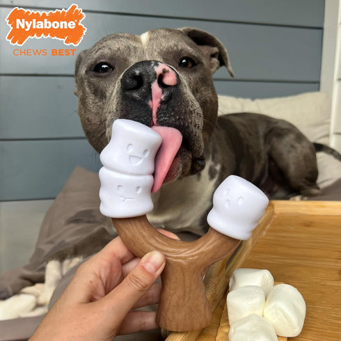 Nylabone Strong Chew Marshmallow Stick Dog Chew Toy - Fun Durable Dog Toys for Aggressive Chewers, Toasted Marshmallow