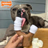 Nylabone Strong Chew Marshmallow Stick Dog Chew Toy - Fun Durable Dog Toys for Aggressive Chewers, Toasted Marshmallow