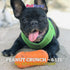 Ruff Dawg Peanut Crunch – Floating, Bouncy Fetch Toy for Medium to Large Dogs, Interactive for Outdoor Play
