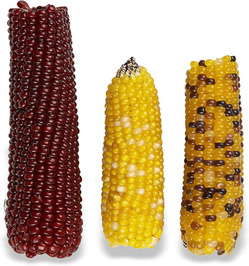 Vitakraft Mini Pops Treat for Small Animals - 100% Real Corn Cob, Supports Healthy Teeth, 6 oz