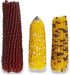 Vitakraft Mini Pops Treat for Small Animals - 100% Real Corn Cob, Supports Healthy Teeth, 6 oz