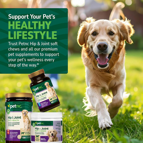 (90 Petnc Hip & Joint Health Supplement for Dogs Chews), Glucosamine Chondroitin MSM Dog Chews with Hyaluronic Acid