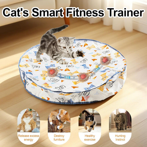 Petmarket 2 Automatic Cat Toy, Cat Interactive Toy With Auto-Moving Balls In Cat Play Mat, Cat Mat Toy