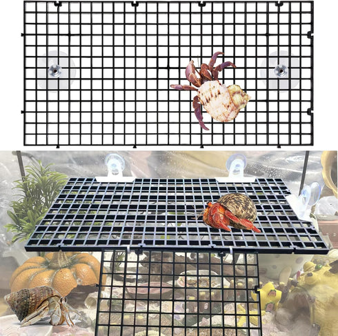 4 Pcs DIY Hermit Crab Climbing Toys | Hermit Crabs Climbing Wall