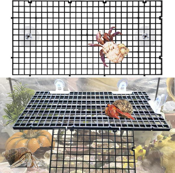 4 Pcs DIY Hermit Crab Climbing Toys | Hermit Crabs Climbing Wall
