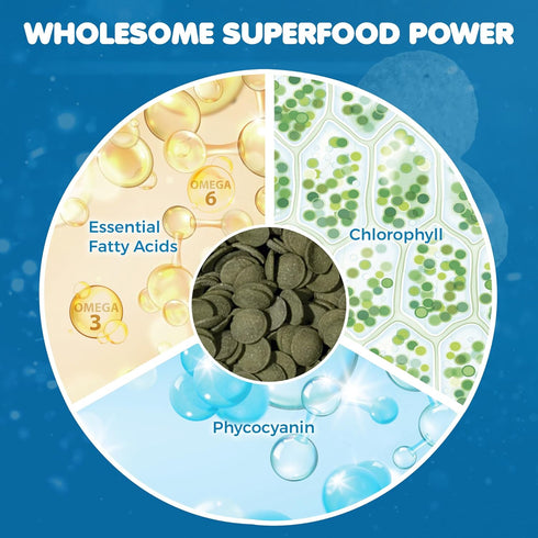 SunGrow Spirulina Protein Food Wafer for Shrimp, Hermit Crab, Pleco, Catfish, Treat for Chinchilla & Guinea Pig
