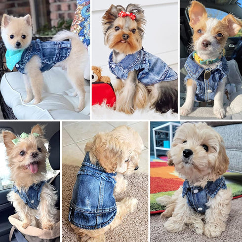 Jean Jacket for Small Medium Dogs Cats - Blue Denim Lapel Vest Coat T-Shirt Costume, Cute Puppy Clothes, Machine