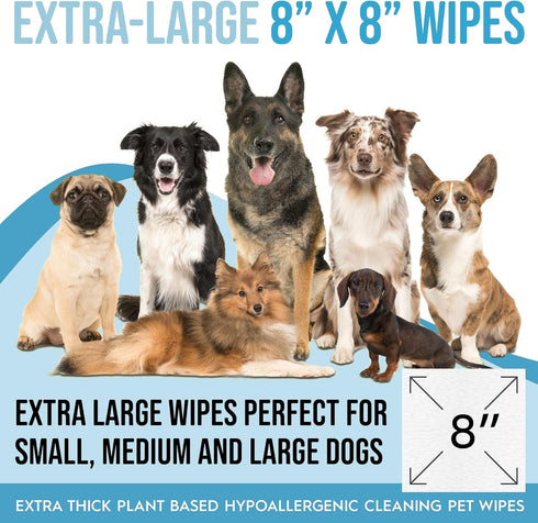 100 Unscented Dog Wipes for Paws, Butt, Ears, Eyes | Organic Hypoallergenic Pet Wipes with Aloe Vera | Extra Thick