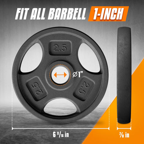 Yes4All Standard 1" Cast Iron Weight Plate - Ideal for Strength Training - Multiple Weight: 5LB to 25LB (Single & Set of 4) by Yes4All
