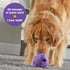 Brightkins Tough & Tumble Large Gnome Treat Dispenser - Interactive Puzzle Toy for All Breeds
