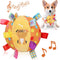 Dog Squeaky Plush Ball Toy with Straps, 6 Inches, Interactive Fetch Ball for All Dogs