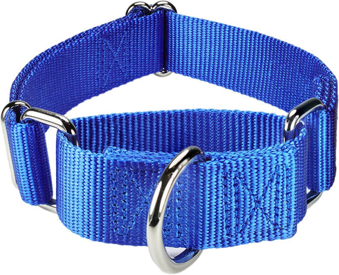 Martingale Dog Collar, Adjustable Nylon Training Collar for Small Medium Large Dogs (Royal Blue, M)