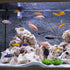 AnRui Ceramic Jar Aquarium Decorations, Cute Pot Hideout Cave for Cichlid and Small Fish