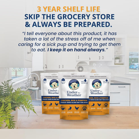 Under the Weather Bland Diet for Dogs - 6oz Pack, Easy to Digest Rice, Chicken & Pumpkin, All Natural