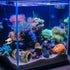 GSD Star-Fish Broken Barrel Decor, Resin Betta Fish Tank Accessories, Includes 1 Broken Barrel & 2 Star Fish