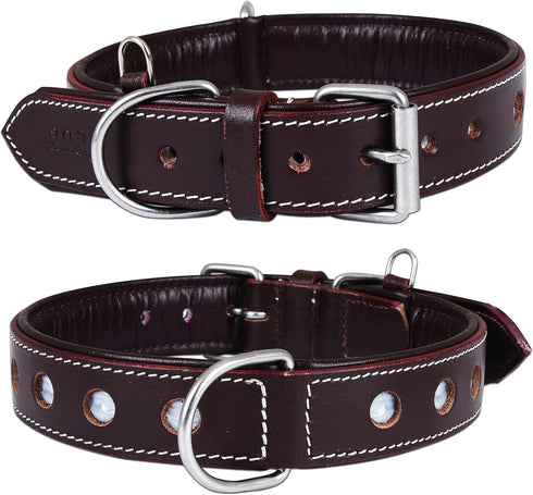 Reflective Genuine Leather Dog Collar, Stellar Series, Soft Padding, Handmade, Safe for Night Walking, XL (Fit Neck