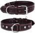 Reflective Genuine Leather Dog Collar, Stellar Series, Soft Padding, Handmade, Safe for Night Walking, XL (Fit Neck