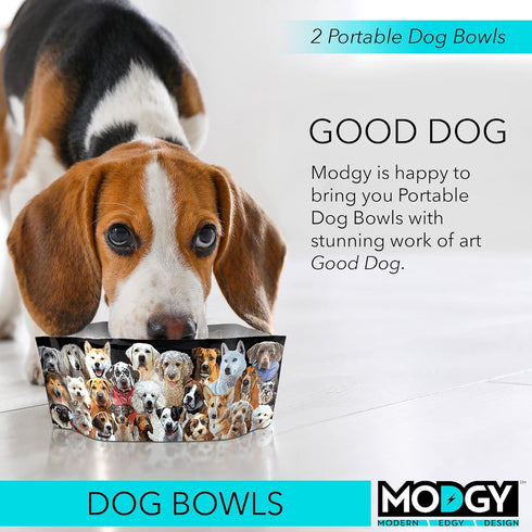 MODGY Collapsible Dog Water and Food Bowl Set, Reusable Plastic Pet Dish, Foldable Travel Size Portable Container for Camping, Hiking, Car, Road Trip Essential, 2 Pack, Good Dog
