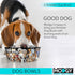 MODGY Collapsible Dog Water and Food Bowl Set, Reusable Plastic Pet Dish, Foldable Travel Size Portable Container for Camping, Hiking, Car, Road Trip Essential, 2 Pack, Good Dog