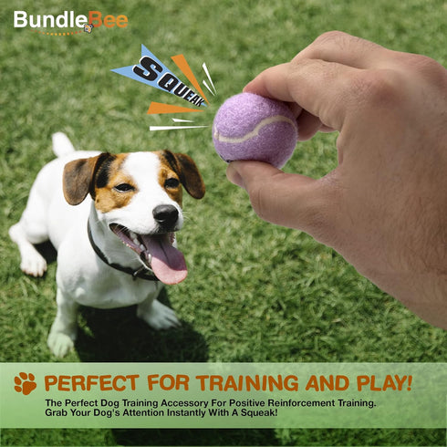 Colorful Squeaky Tennis Balls for Small Dogs and Puppies, 1.5 Inch, 12 Pack for Training and Fetch