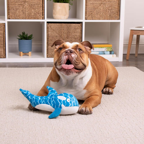 Strong 'N Silent Silent Swimmer Soft Plush Orca Chew Guard Dog Toy - Blue, Large