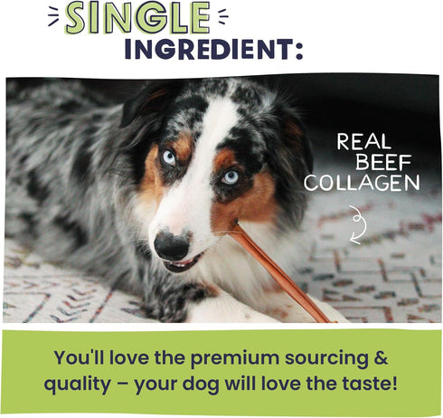 Pawstruck All Natural 11-12" Roasted Collagen Sticks for Dogs - Low Odor, Vet Approved, 5 Pack