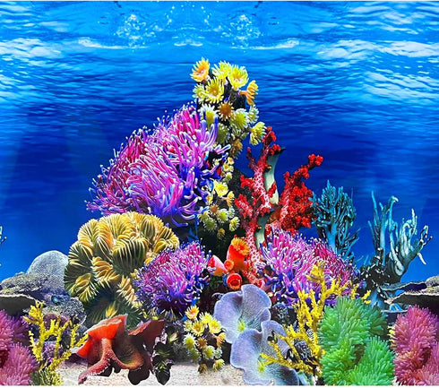 Fish Backgrounds Paper Double Sides Undersea Aquarium Poster, Colorful Sea Anemone Fish Tank Sticker Decorations.