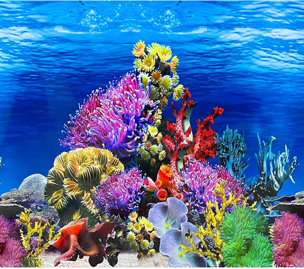 Fish Backgrounds Paper Double Sides Undersea Aquarium Poster, Colorful Sea Anemone Fish Tank Sticker Decorations.