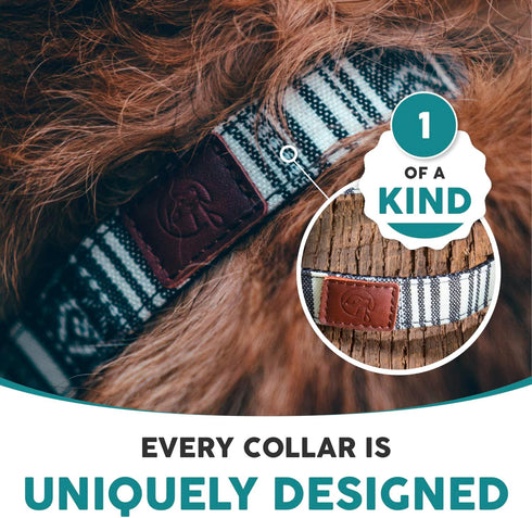 Embark Urban Dog Collar - Stylish & Durable Nylon Collar for Large, Medium, Small Dogs, Comfortable with Strong Buckles