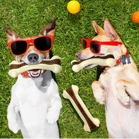 Sosation 10 Pcs Nylon Beef Flavor Dog Chew Toys for Aggressive Chewers, Tough Teething Bones for Medium Breed Dogs