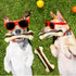 Sosation 10 Pcs Nylon Beef Flavor Dog Chew Toys for Aggressive Chewers, Tough Teething Bones for Medium Breed Dogs