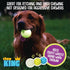 Chew King Glowing Fetch Ball, Dog Ball Toys, 3" Combo