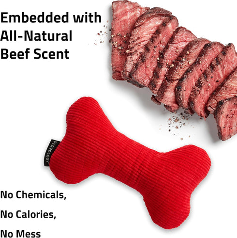 Playology Dog Toys | Plush Squeaky Bone Chew Toy for Dogs | Medium Beef Scented Toy - Easy to Clean and Made from Non