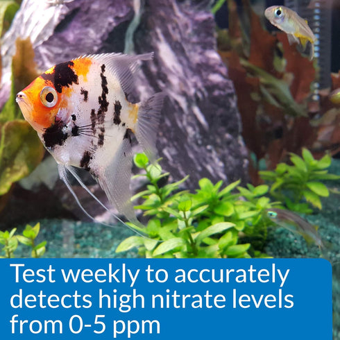 API NITRITE TEST KIT for Freshwater and Saltwater Aquariums, 180-Test
