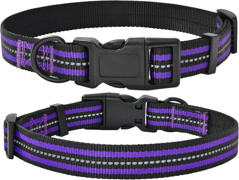 Mile High Life Reflective Dog Collar, Nylon Pet Collars with Buckle, Purple for Small Dogs (X-S)
