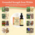 1 oz Kan Herb Company Rehmannia Eight Combination Traditional Chinese Herbal Blend for Dogs and Cats to Support Kidney